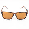 Gloss Franklin / Amber Polarized | Duster