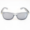 Ash / Chrome Polarized