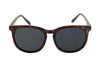 Franklin / Black Polarized | Venice