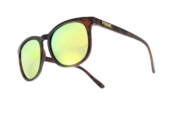 Franklin / Gold Blaze Polarized | Venice